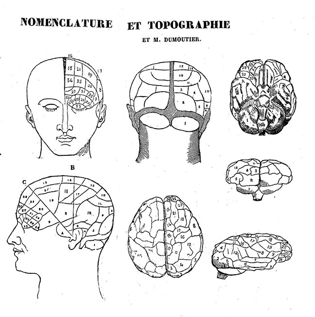 Phrenology, nomenclature and topography, image