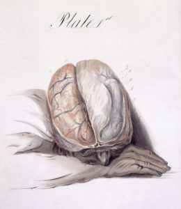 The anatomy of the brain explained in a series of plates, 1802, Plate 1.