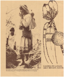 Cover. Galeria dela Raza. El Arte de los Huicholes: The Peter Young Collection (30487)